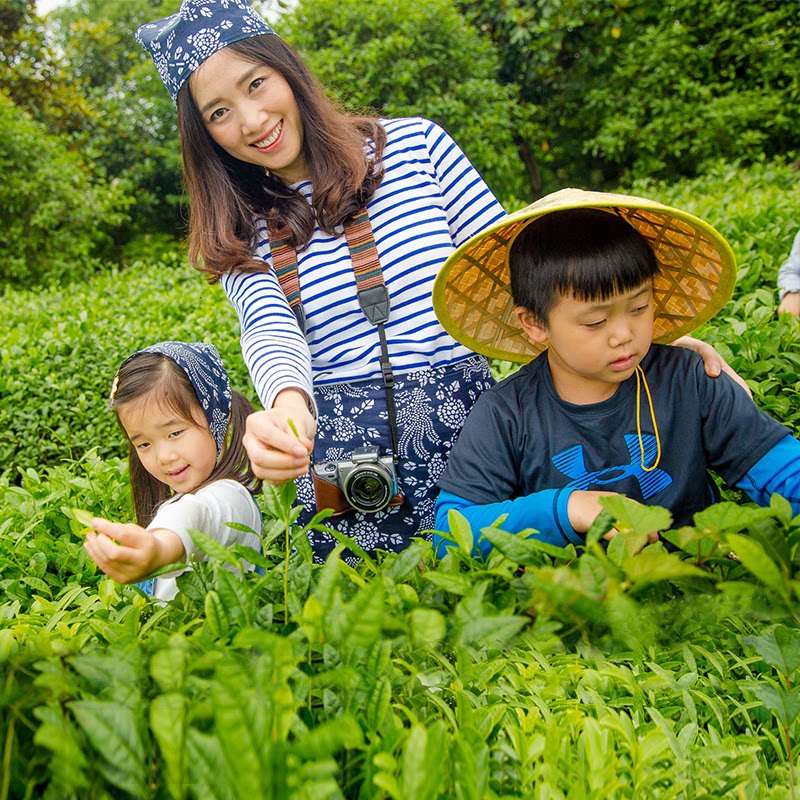 包机票住五星|云南西双版纳旅游6天5晚跟团游植物园父母亲子旅行