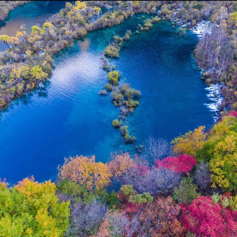 真纯玩双动车+国际五星|四川成都九寨沟旅游纯玩3日跟团半自由
