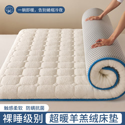 Autumn and Winter Thickened Warm Lamb Wool Mattress Pad, Fleece-Lined for Home Bedroom Use, Special Soft Pad for Rental Apartments, Single and Double Bed Sheets