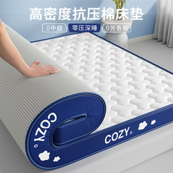 Latex Anti-Pressure Cotton Mattress Home Soft Cushion Bedroom Dormitory Student Single Rental Special Tatami Mat
