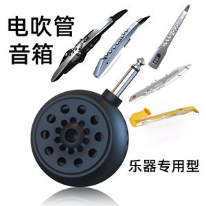 Multi -functional direct plug -in small audio box mini Bluetooth professional performance audio outdoor instrument

