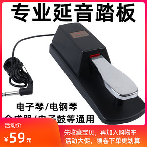 
Electric piano sustain pedal electronic piano midi keyboard synthesizer universal drum metal foot pedal instrument accessories