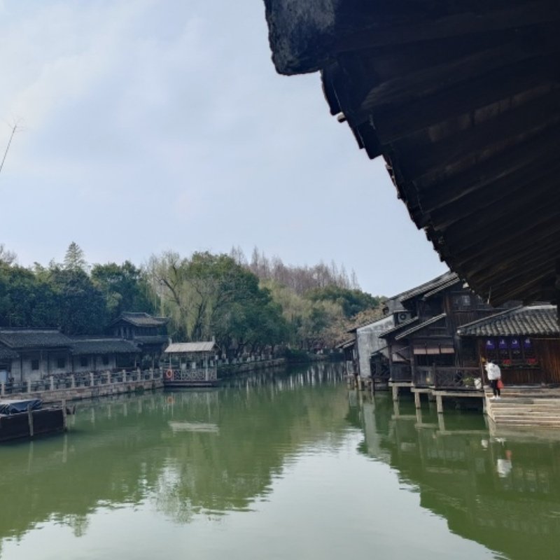 上海出发 乌镇南浔1日游 多套餐可选夜游西栅赏西栅日夜全景