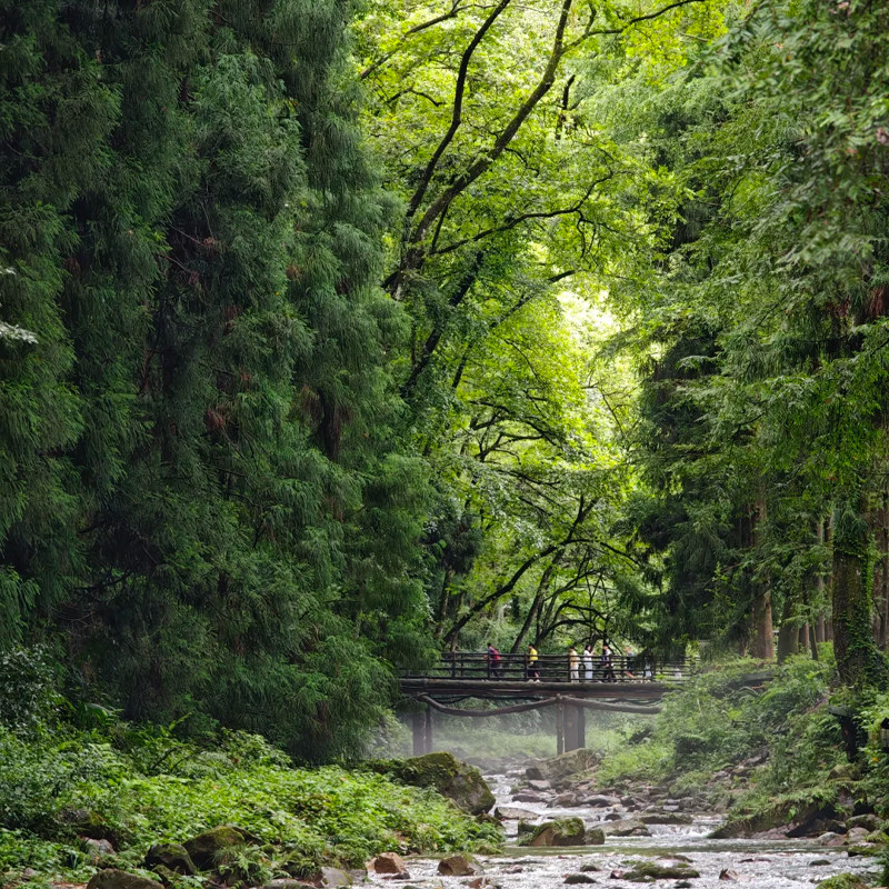 一价全含 观日出湖南张家界旅游2天1晚国家森林公园黄石寨袁家界
