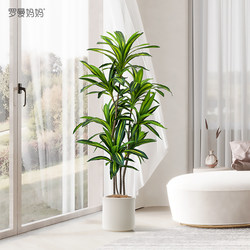 Roman's Mother's Artificial Green Plant, Brazilian Iron Plant, High-End Light Luxury Indoor Living Room Sofa Side Floor-Standing Bonsai Decoration