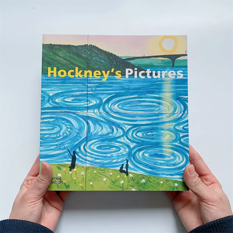 大卫霍克尼绘画画册作品集Hockney's Pictures by David Hockney-Taobao