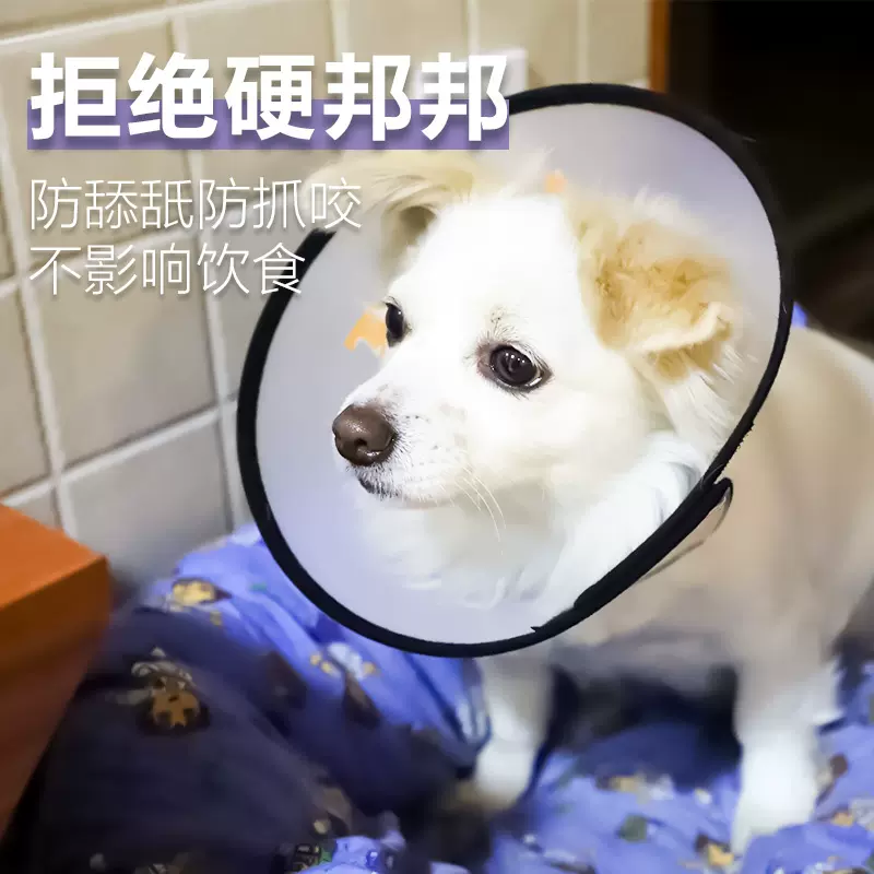 狗狗项圈伊丽莎白圈防咬防舔猫咪小型犬大型犬脖圈