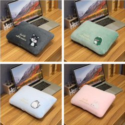 Nap Pillow for Desk, Small Pillow for Boys, Nap Pillow for Girls, Office Cushion, Body Pillow