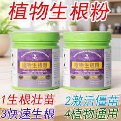 Powerful rooting powder, pothos succulents, special water-soluble fertilizer for potted plants, universal rooting agent, tree cuttings for transplanting