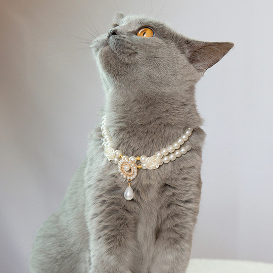 Haoyueer Collari Per Cani E Gatti Con Strass E Campanella, Collari Per Cuccioli Con Morbido Velluto Di Cristallo, Collana Gioiello Per Ragazze (rosa-1 - Foto 3