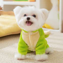 Cute little dinosaur transforms into puppy clothes, autumn and winter flannel warm teddy panda cat pet clothing