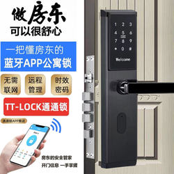 Popular Universal Password Lock App Smart Lock for Hotels, Guesthouses, Apartments, and Homestays, Remote Magnetic Card, Stainless Steel, for Home Use