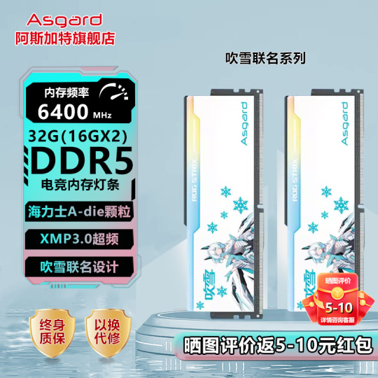 Asgard Fubuki DDR5 32GB (16GBx2) 6400MHz RGB Desktop Memory