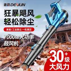 High-Power Blower, Powerful Lithium Battery Hair Dryer, Industrial 220V Violent Turbo Fan Snow Blower