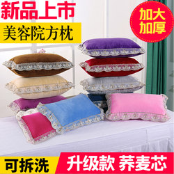 Benshilong Beauty Salon Special Pillow Lace Pillow Core Small Square Pillow Beauty and Body Massage Bed Pillow Core Removable and Washable
