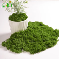 Simulated Moss Landscaping, Fake Moss, Grass Turf, Green Plants, Micro-Landscape Plants, Decorative Artificial Bionic Lawn Stones
