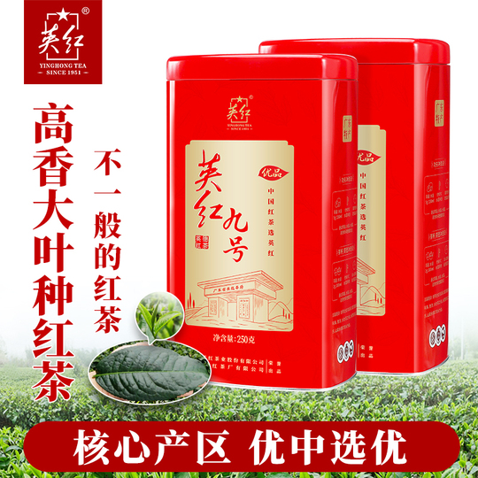 英紅九號（紅茶） 英红九号红茶500g罐装英德红茶浓香型散茶