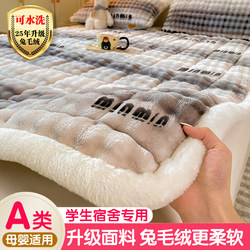 Thickened Milk Velvet Mattress for Student Dormitory, Rabbit Fur Plush Winter Mattress, Single Bed Soft Cushion, Fleece-Lined Bed Sheet, Bed Blanket
