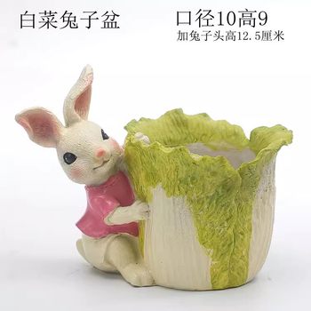 Cute style sundries succulent flower pot gardening home furnishings