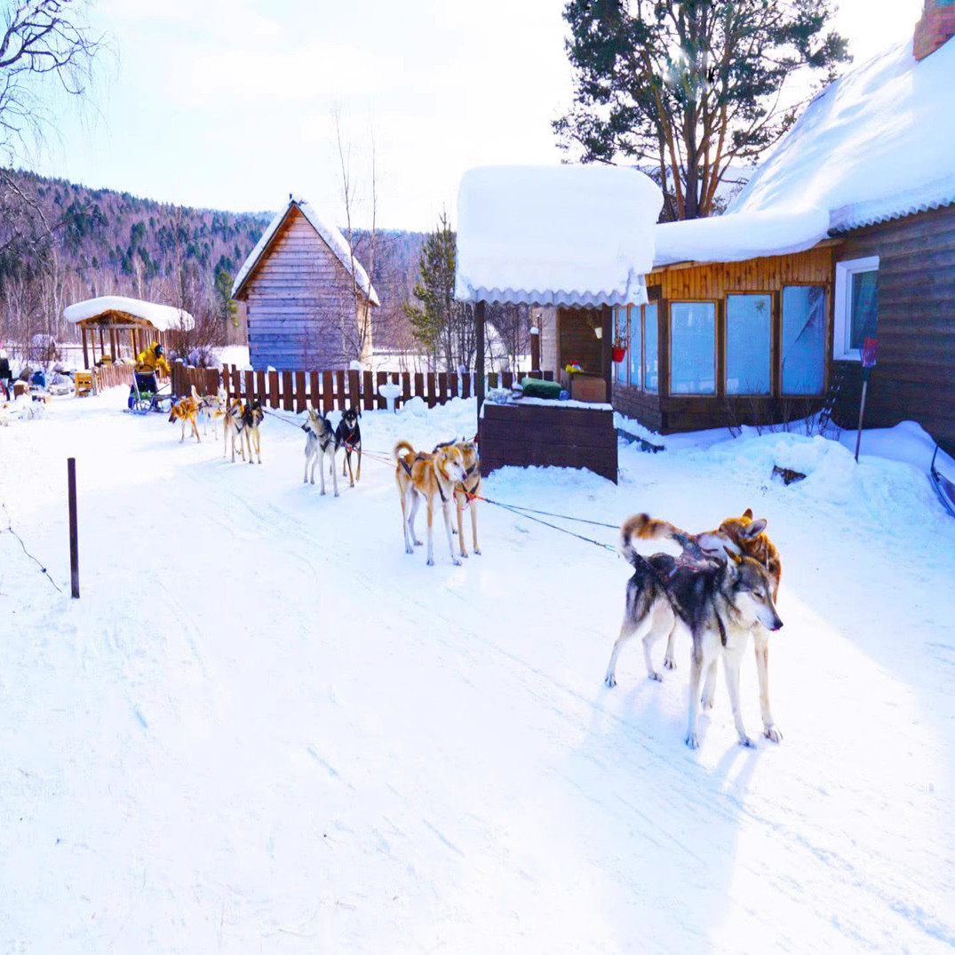 东北哈尔滨亚布力雪乡旅游5天4晚滑雪亲子纯玩春节跟团游12人团