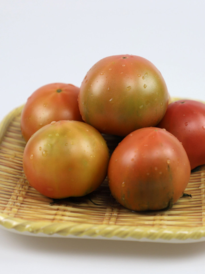 彩特丹东铁皮柿子