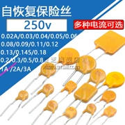 Cầu chì tự phục hồi phích cắm trực tiếp 250v 0,02 0,06 0,09 0,12 0,145 0,18 0,08 1 A