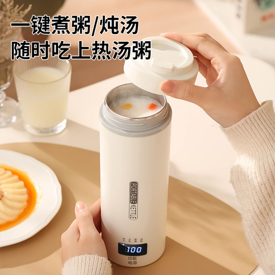Bouilloire de voyage petite,500 ml,bouilloire de voyage,tasse à eau électrique avec réglage de Bouilloire de voyage petite,500 ml,bouilloire de voyage,tasse à eau électrique avec réglage de