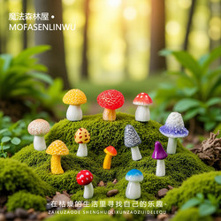 Micro-Landscape Creative Cute Mushroom Healing Set Desktop Small Ornaments Moss Bonsai Landscaping Decoration Accessories