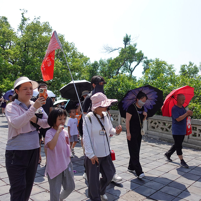 岳阳楼半日游精品讲解1H 专属导游讲解 2-7人VIP小包团 (含门票)