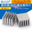 Bộ tản nhiệt điện tử WGSD/nhôm nguyên chất/tản nhiệt mô-đun/kích thước 20*21*15mm (2 cái)