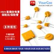 Cầu chì/cầu chì cắm lại trực tiếp 250V 0,06 0,08 0,12A 0,2A 0,4 1A 2A