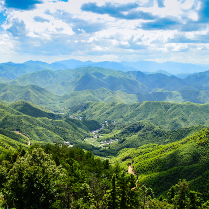 杭州至德清莫干山 1日游包车私家天然森林氧吧