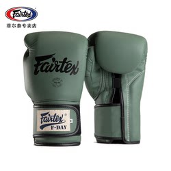 Fairtex Boxing Gloves Bgv11 Muay Thai Sanda Fighting Adult Gloves