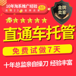 Direct Marketing and Promotion Service for Taobao Sellers, Professional Driver Service, Pure Manual Optimization, Wanxiang Platform, Unbounded Gravity Cube