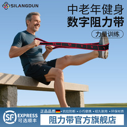 German Resistance Bands for Middle-Aged and Elderly People to Build Muscle, Digital Resistance Bands for Leg Muscle Training, Ankle Stretching, Segmented Elastic Bands