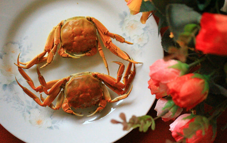 大闸蟹死了还可以吃不?吃了会有啥后果(图1) 大闸蟹死了还可以吃不?吃了会有啥后果(图1)