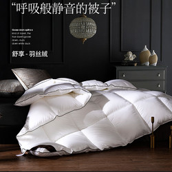 Five-Star Hotel Feather Duvet Insert, Thickened Winter Quilt, Warm Quilt Core, Winter Single/Double Quilt, Spring and Autumn Quilt