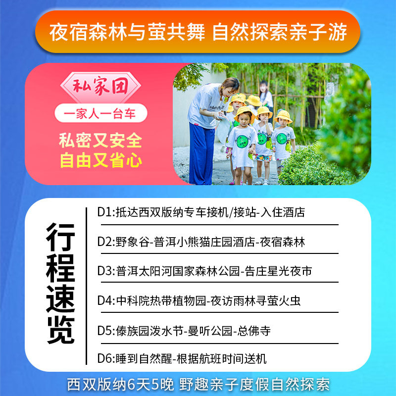 亲子私家团雨林探索西双版纳普洱小熊猫庄园夜宿森林徒步6天5晚