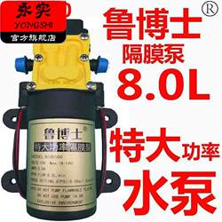 Dr. Lu/Huyue Micro Electric Diaphragm Pump Electric Sprayer High Flow 12V Water Pump Car Washer High Pressure Pump