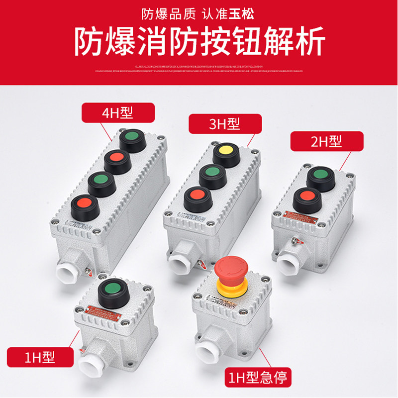 Explosion-Proof Button Control Box with Light Button Switch