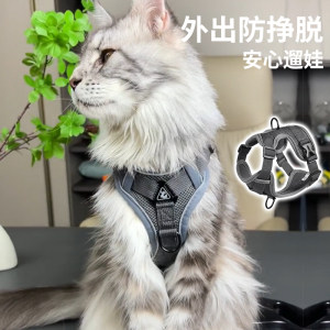 
Cat traction rope, vest type, special anti-breakaway cat walking artifact, Maine Ragdoll gold gradient cat chain when going out