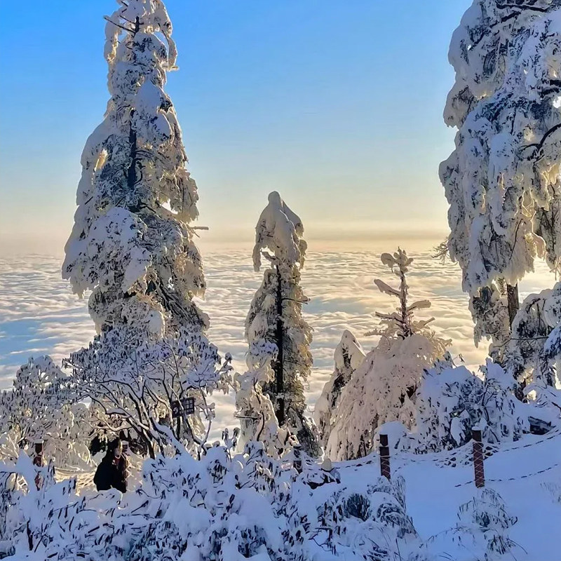 瓦屋山二日游成都周边游纯玩团柳江古镇两日游槽渔滩七里坪2日游
