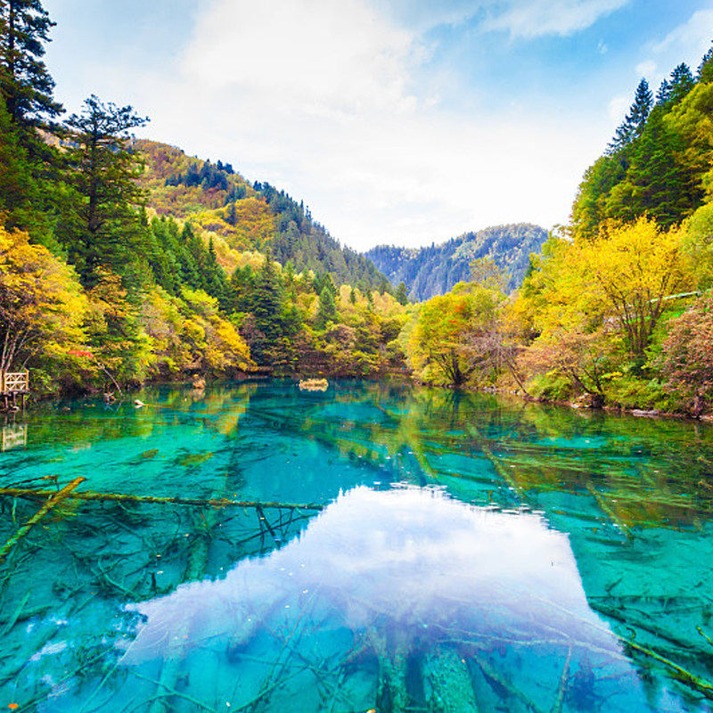 2-8人小团九寨沟纯玩3日游四姑娘山黄龙跟团都江堰毕棚沟达古冰川