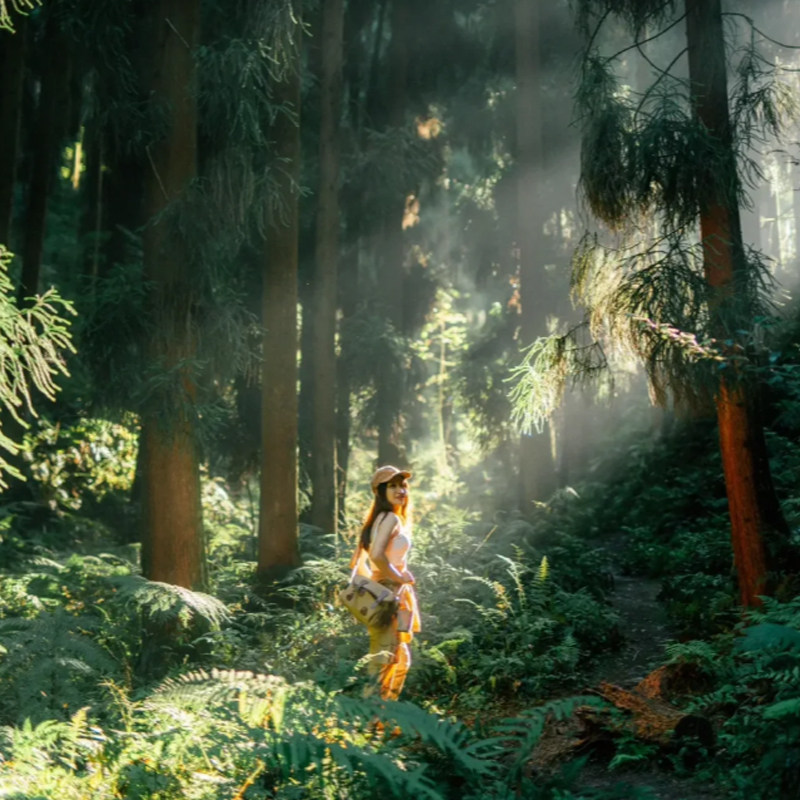 理小路毕棚沟1日游甲尔猛措徒步羌人谷滑雪阿尔沟一日游瓦屋山