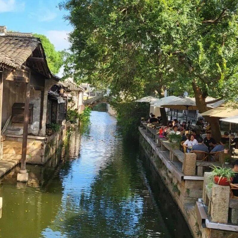 赏花-春季限定-鼋头渚+惠山古镇+苏州拙政园/虎丘2天1晚私家团