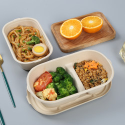 Disposable Light Meal Bento Box, Biodegradable Takeout Packaging Box, Salad Pulp Lunch Box, Rectangular Lunch Box