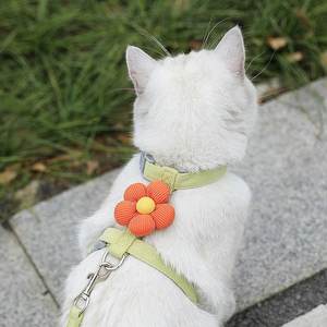 Cat traction rope anti -break free of special walking cat rope chest straps, cat ropes, can adjust pet slippe cat chain
