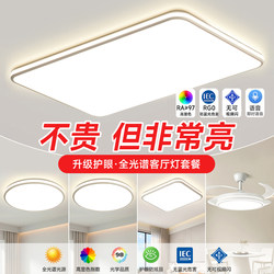 Bizzotto Ambient Light Modern Minimalist Living Room Lamp Hall Eye-Protection High-Brightness Main Light Whole House Lighting Package Set