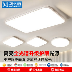 Bizzotto Living Room Lamp, Hall Lamp, Rectangular Ceiling Lamp, Modern Simple and Elegant Whole House Lighting Package Combination