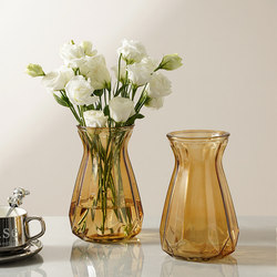 Nordic Style Minimalist Creative Glass Vase Water-raised Flowers Dining Table Living Room Ornaments Decorative Internet Celebrated Hydroponic Vase